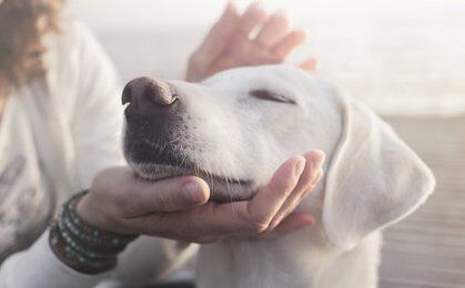 I Nostri Trattamenti